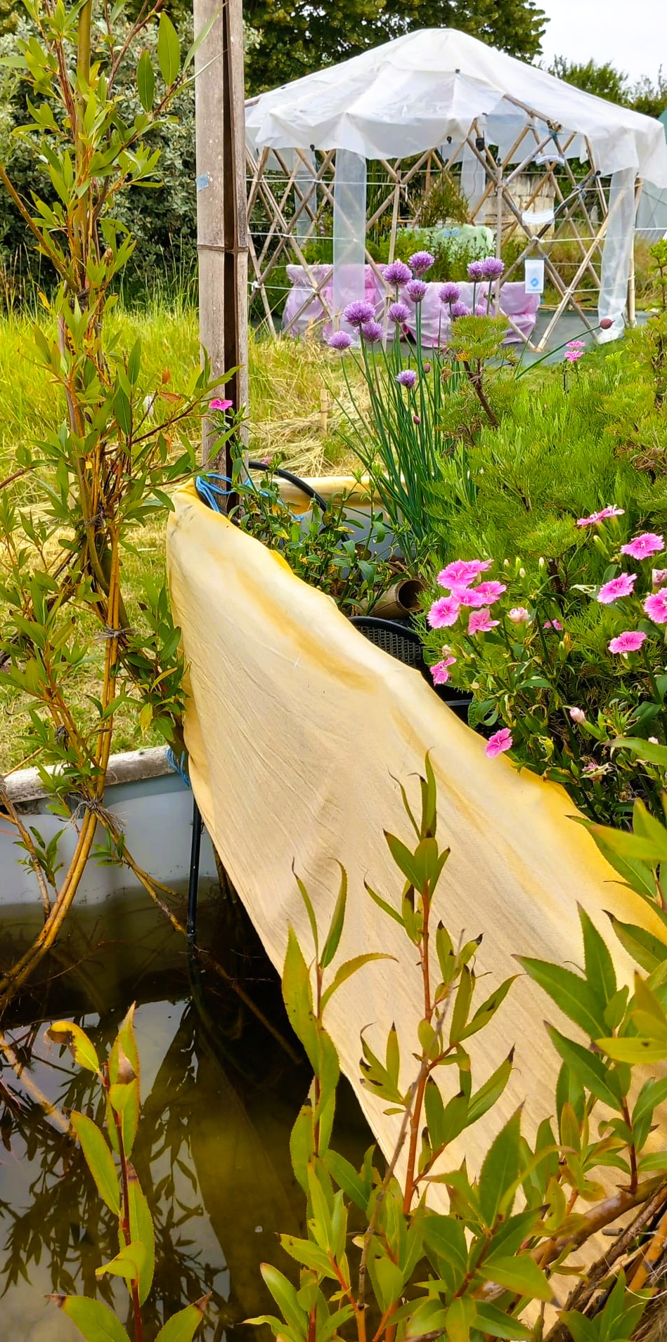 Bienvenue chez Trogl'Eau Fertile