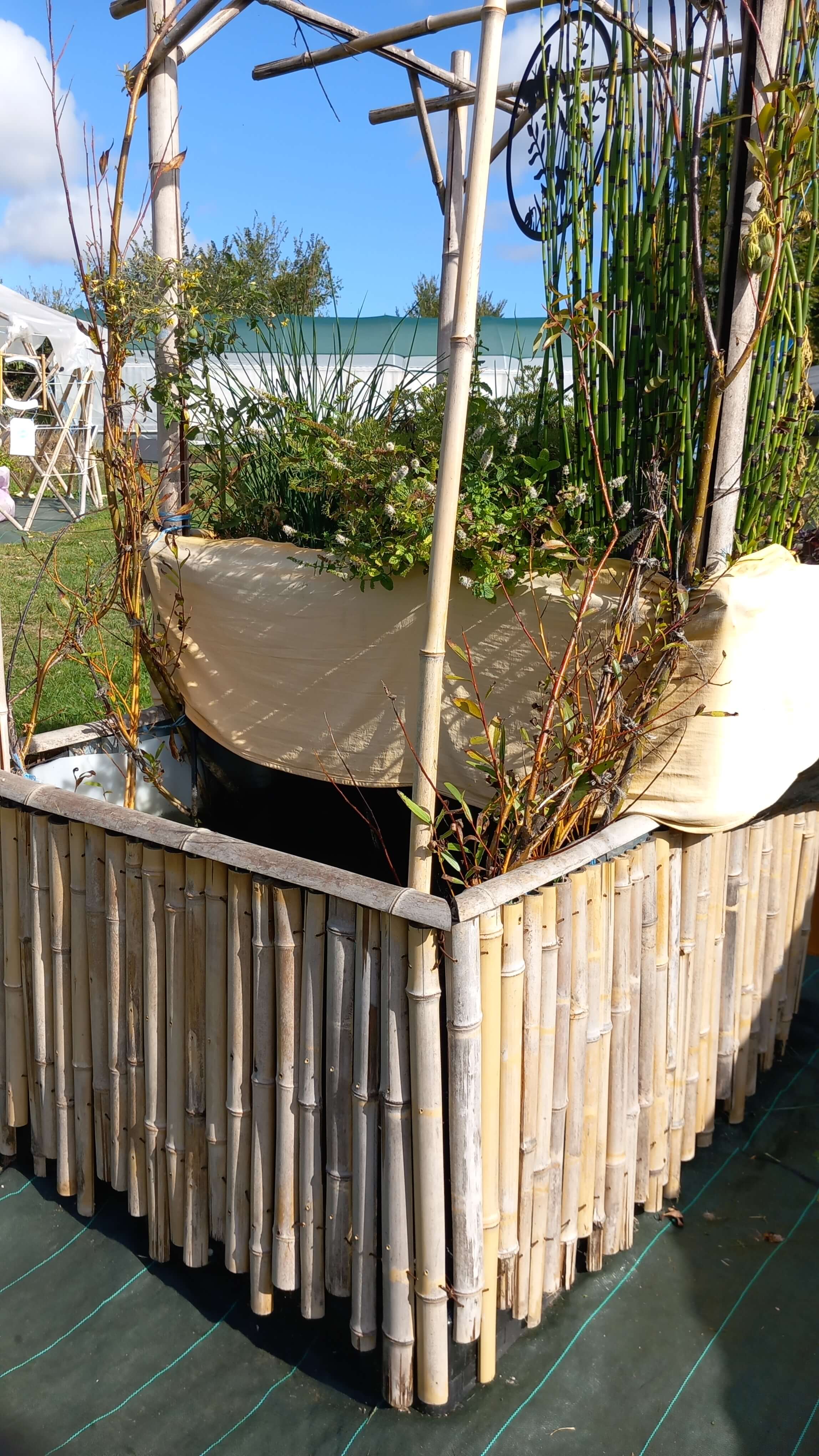 Vue des potagers aquatiques de la ferme